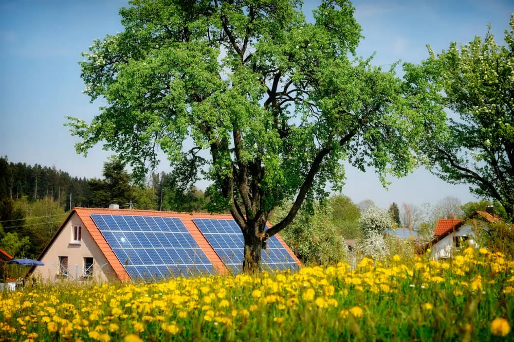 Tiled roof on a home with solar panels and trees shading the roof